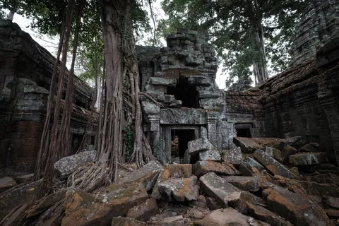 Ta Prohm Temple