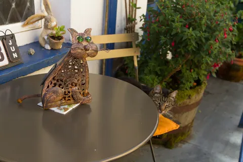 Metal Cat / Cat, Clovelly