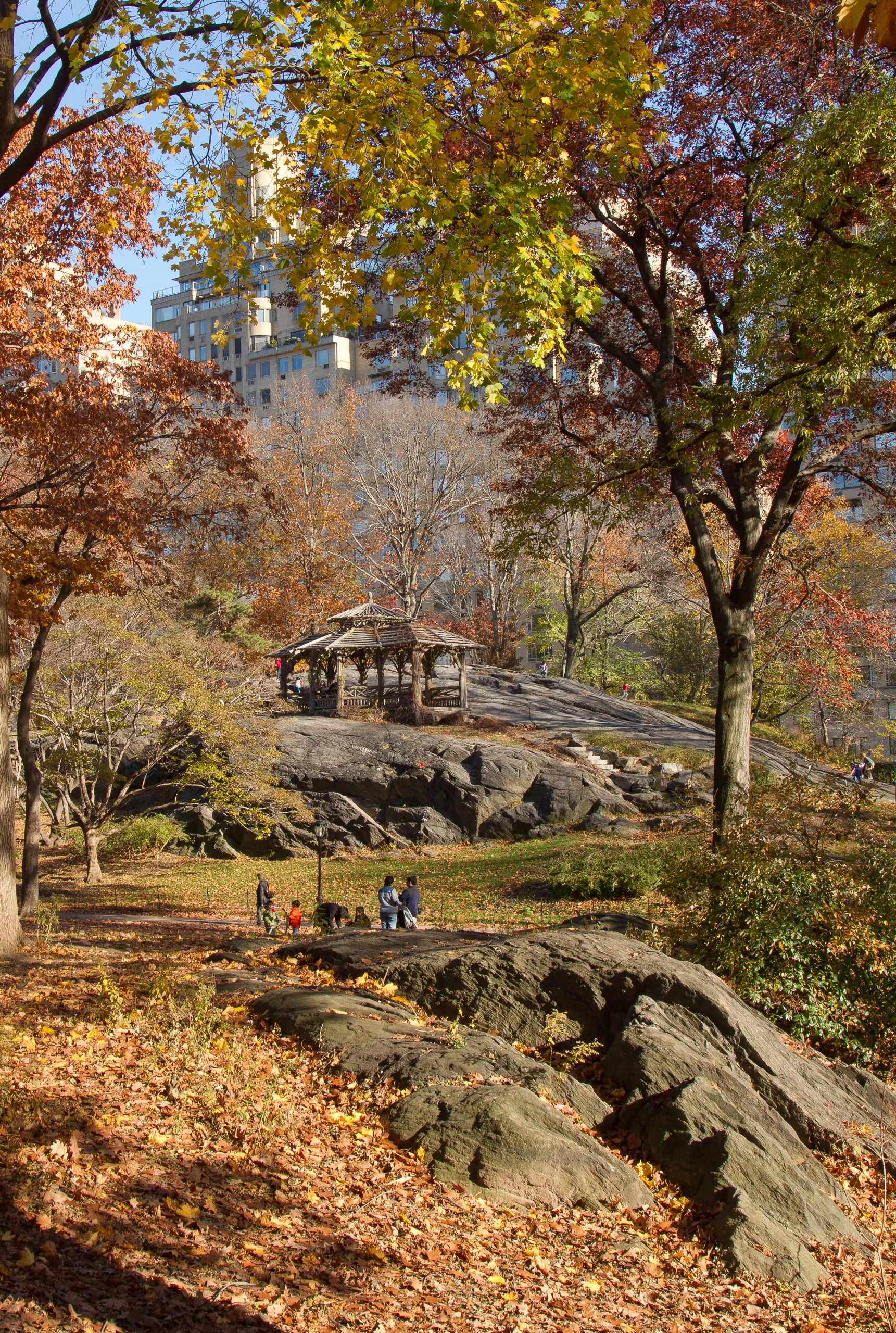 Central Park in Autumn