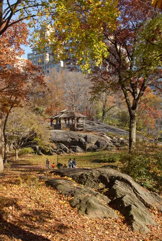 Central Park in Autumn