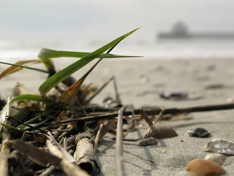 Jetsam