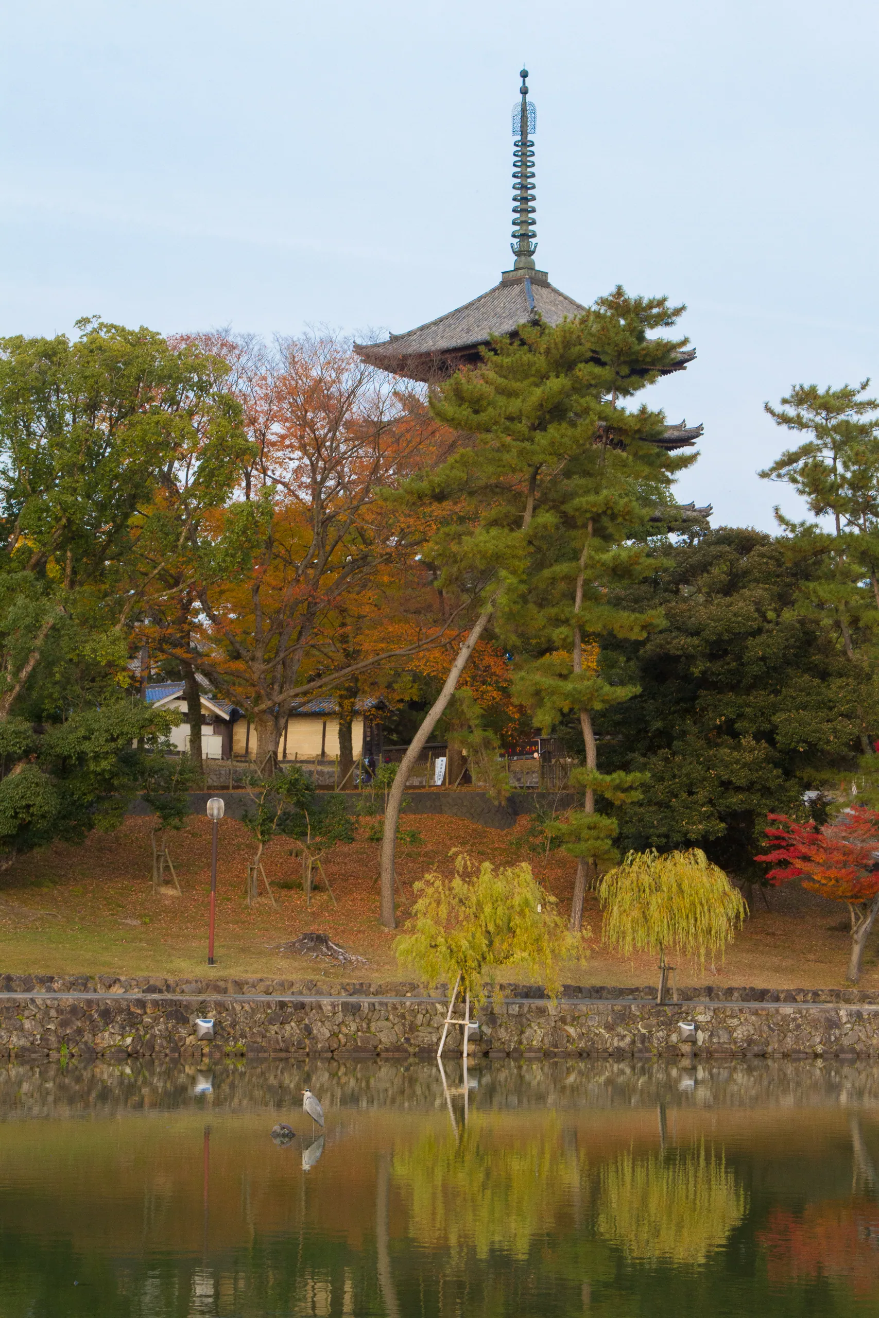Five Story Pagoda of Kofukuji Temple and Lake, Nara Park