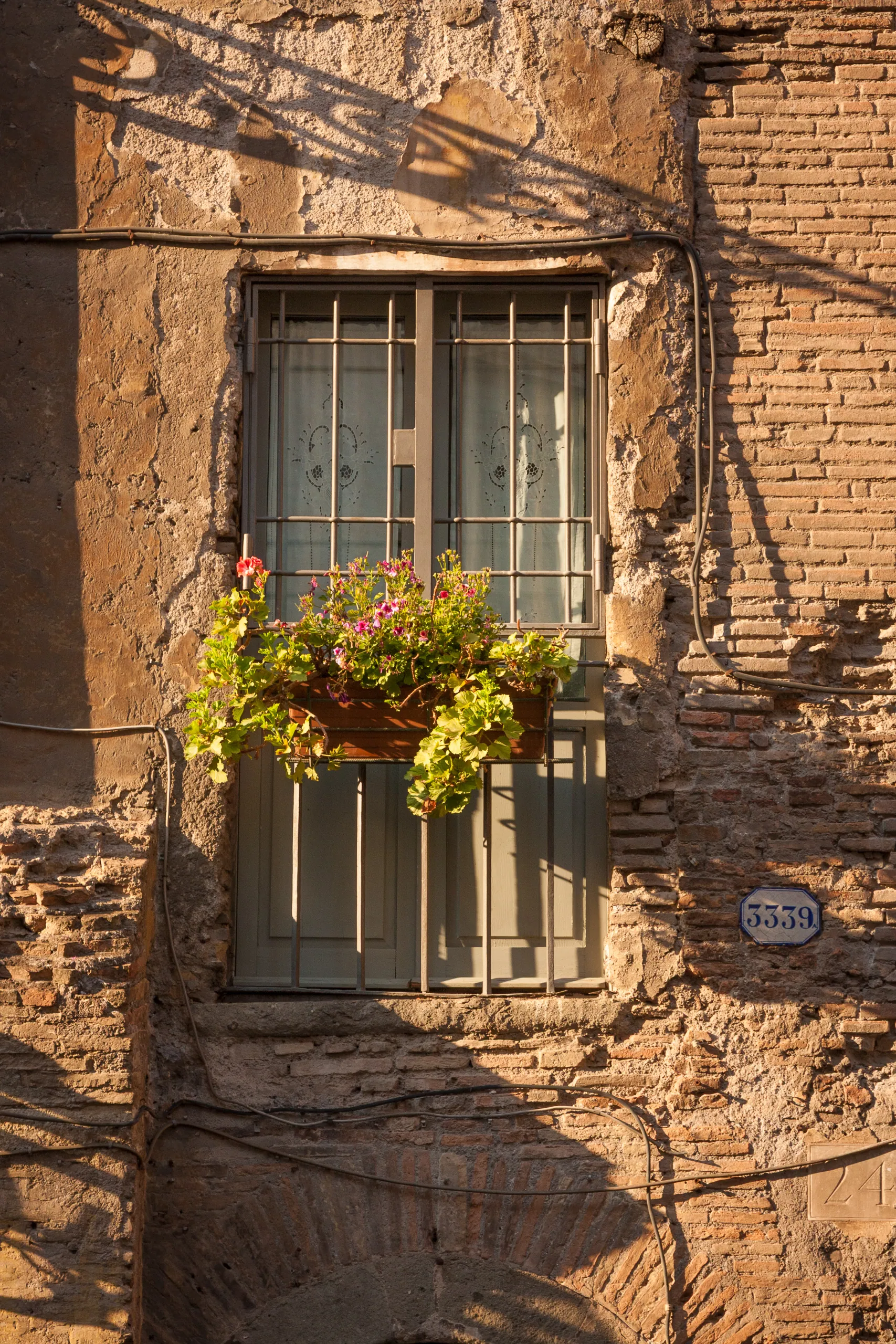 Sunset in the Ghetto, Rome