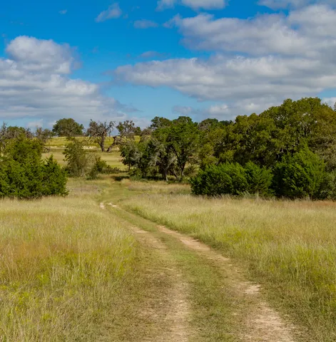 Canyon Wren Ranch - Ranch Road