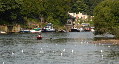 Slow Day on the Thames