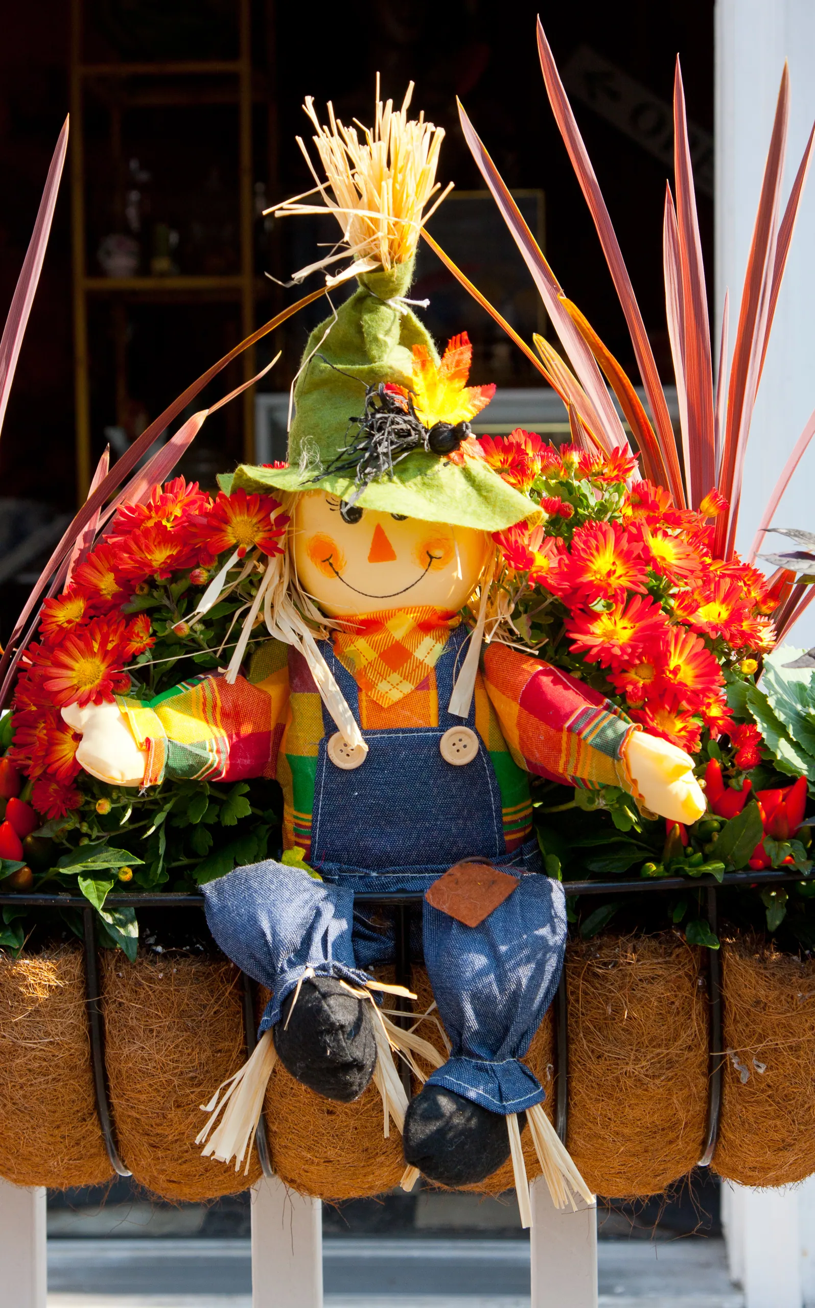 Harvest Doll, Provincetown