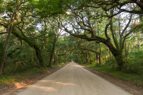 Live Oak Avenue, Botany Bay, Edisto Island
