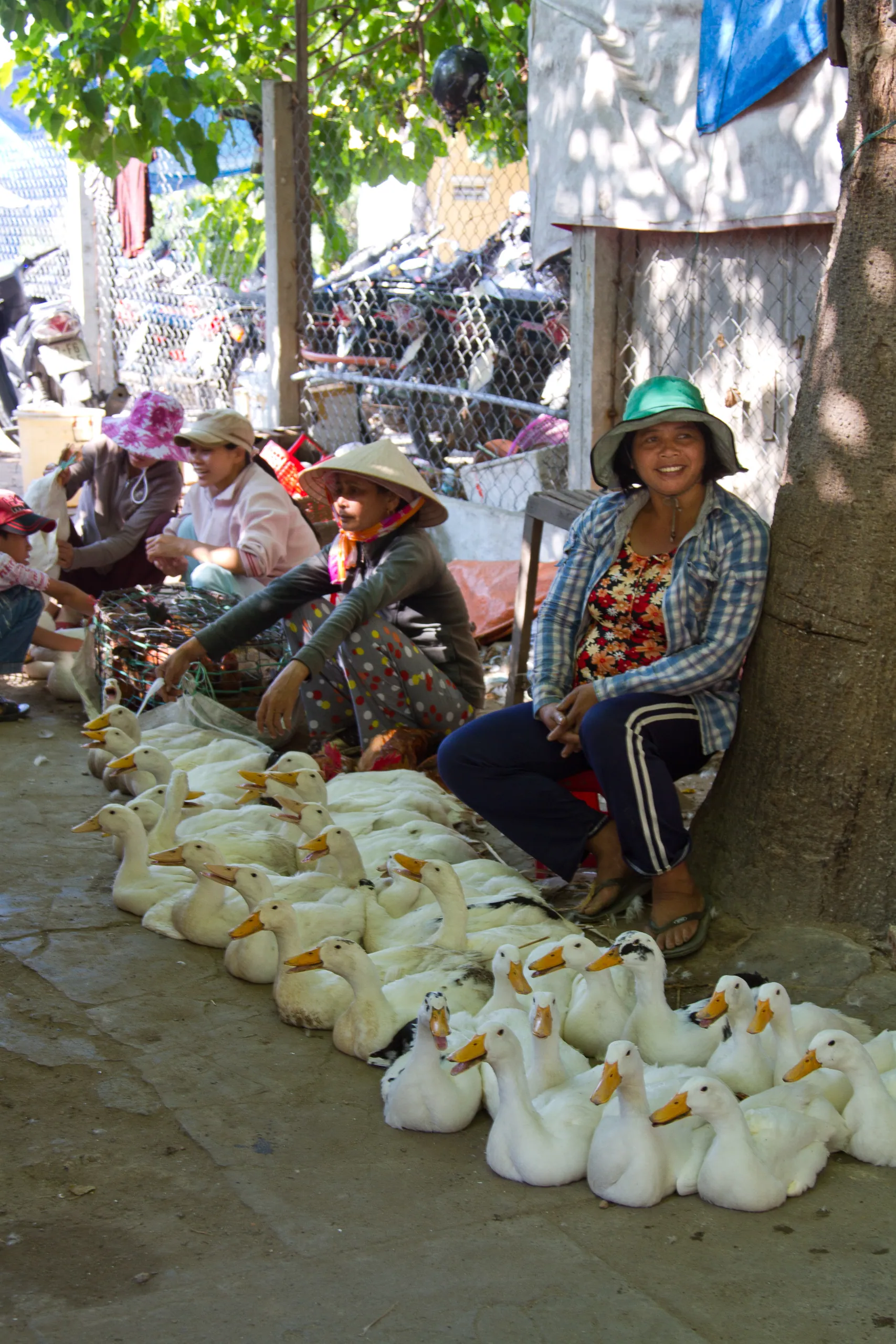 The Duck Lady, Hoi An Central Market