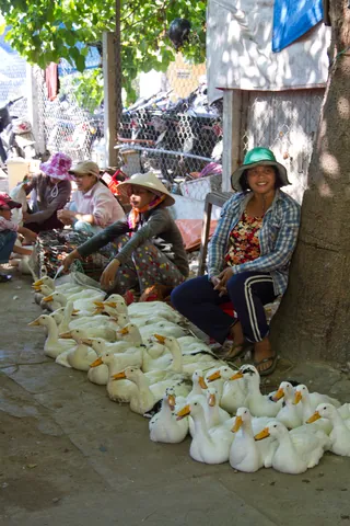 The Duck Lady, Hoi An Central Market