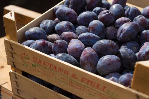 Plums, Ballaro Market, Palermo