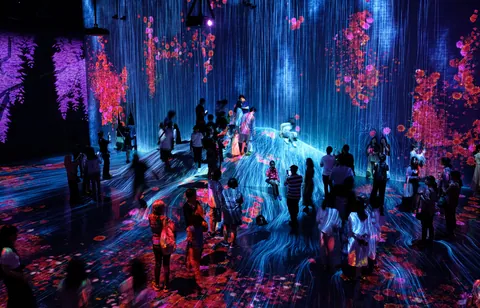 Epson Teamlab Borderless