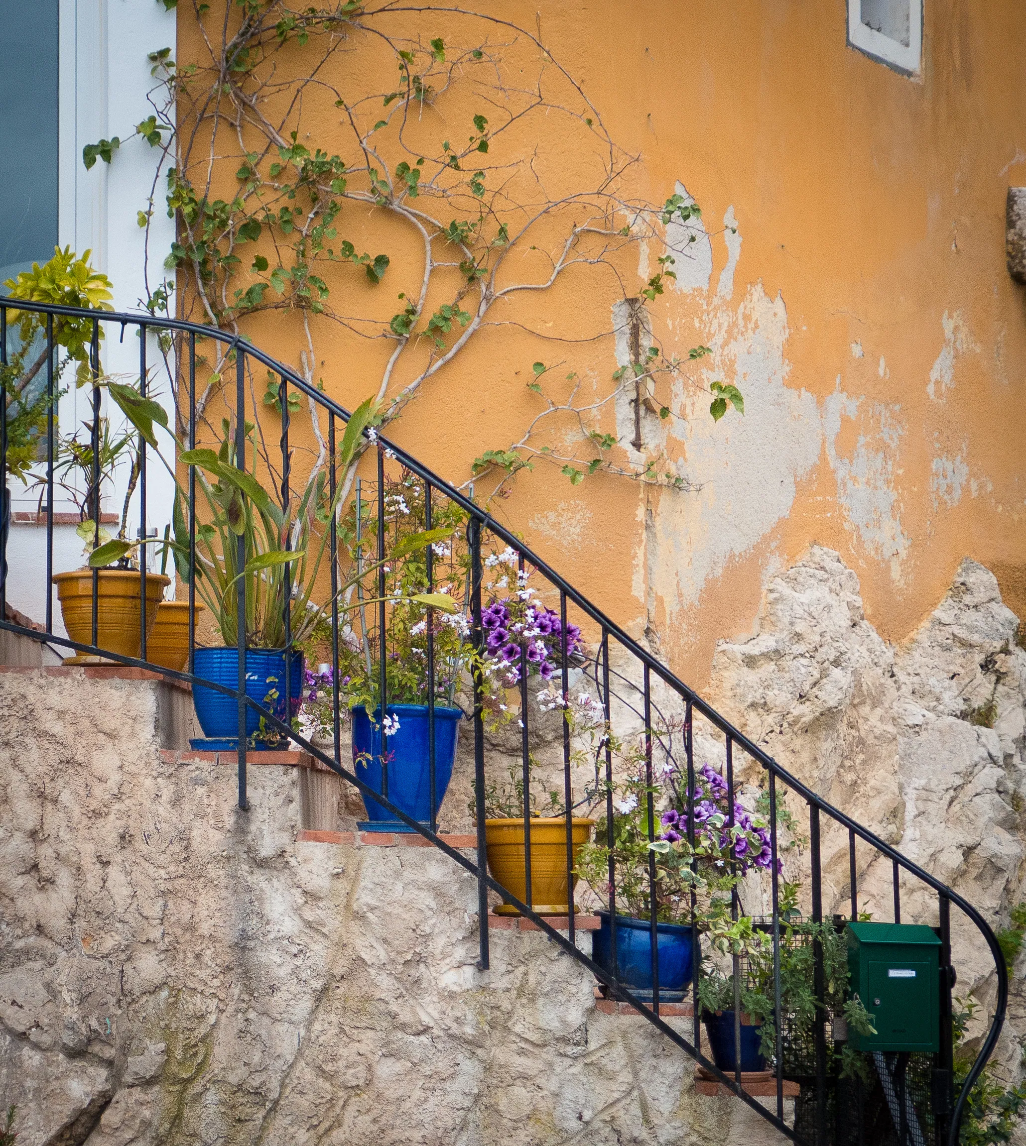 Flower pots, Villefranche-sur-mer