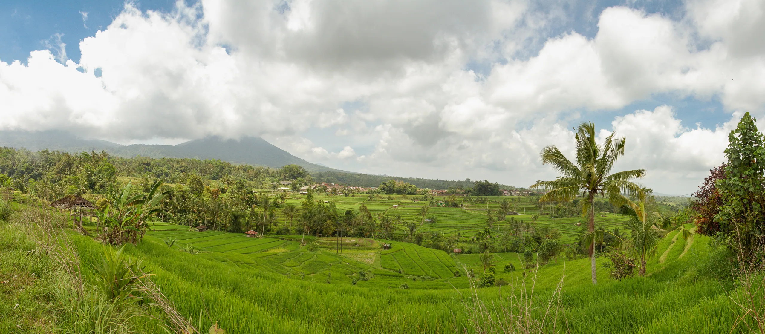 Jatuliwiyah Rice Terraces