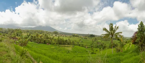 Jatuliwiyah Rice Terraces