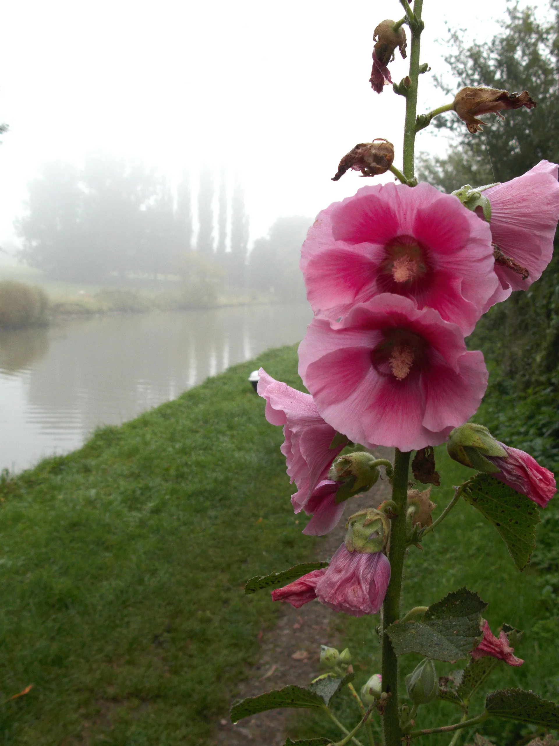 Grand Union Canal, Northamptonshire