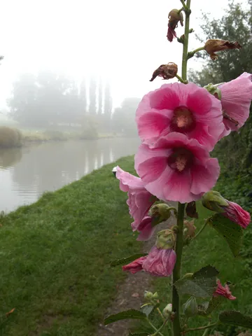 Grand Union Canal, Northamptonshire