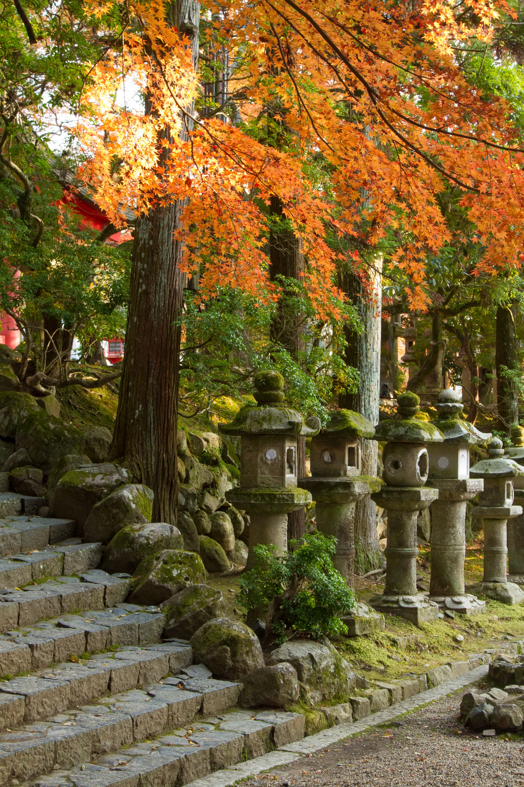 Stone Lanterns near Kasuga Taisha Shrine, Nara Park