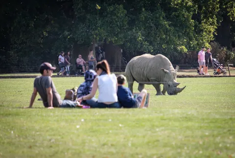 Cotswold Wildlife Park