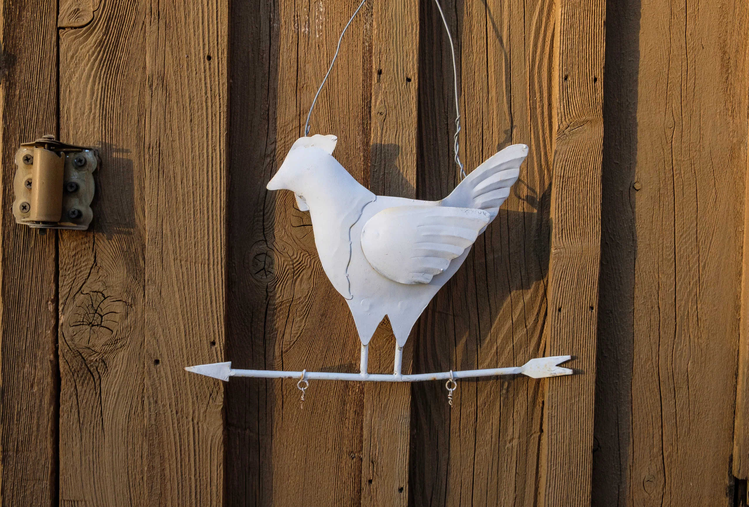 Weather vane and door, Canyon Wren Ranch