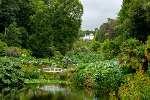 Trebah Gardens