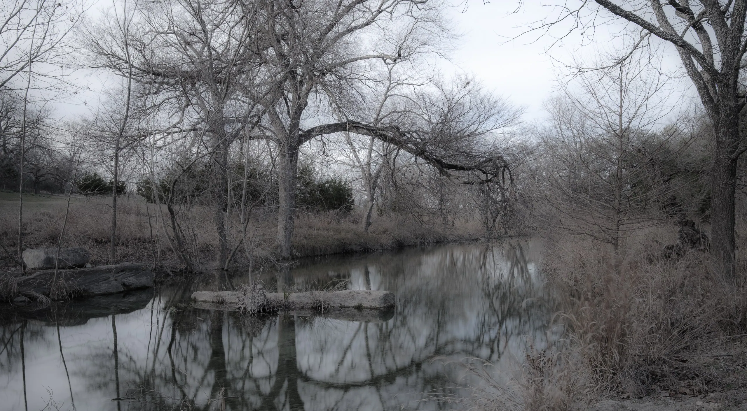 Canyon Wren Ranch - Winter Creek Scenes