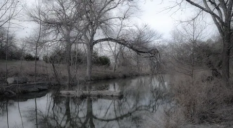 Canyon Wren Ranch - Winter Creek Scenes