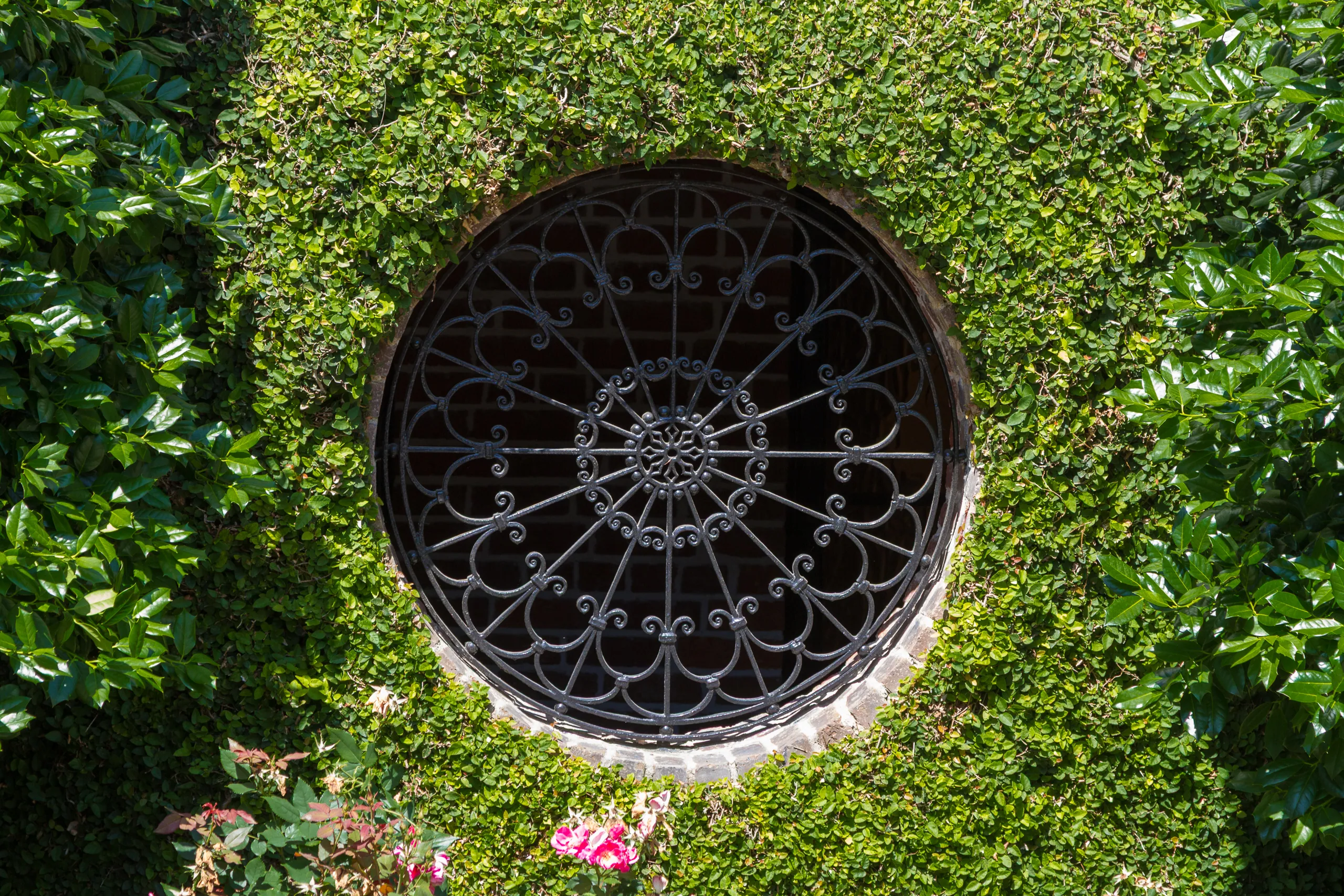 Wrought Iron Window, Meeting Street