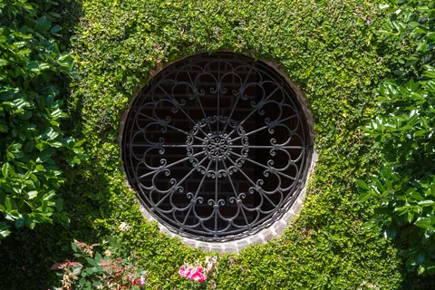 Wrought Iron Window, Meeting Street
