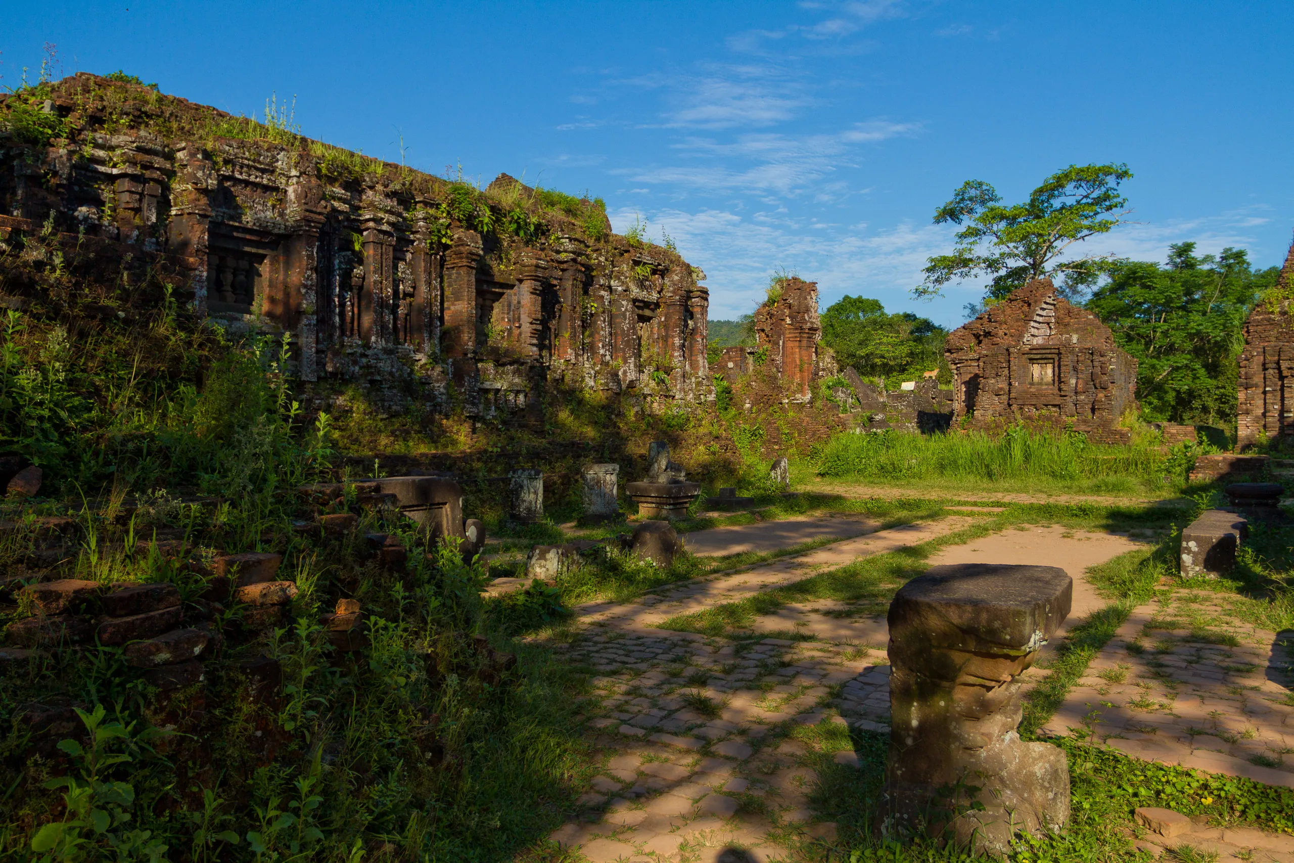 Cham Temples of My Son, near Hoi An