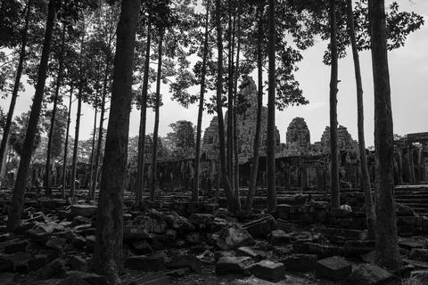 Bayon Temple through the Trees