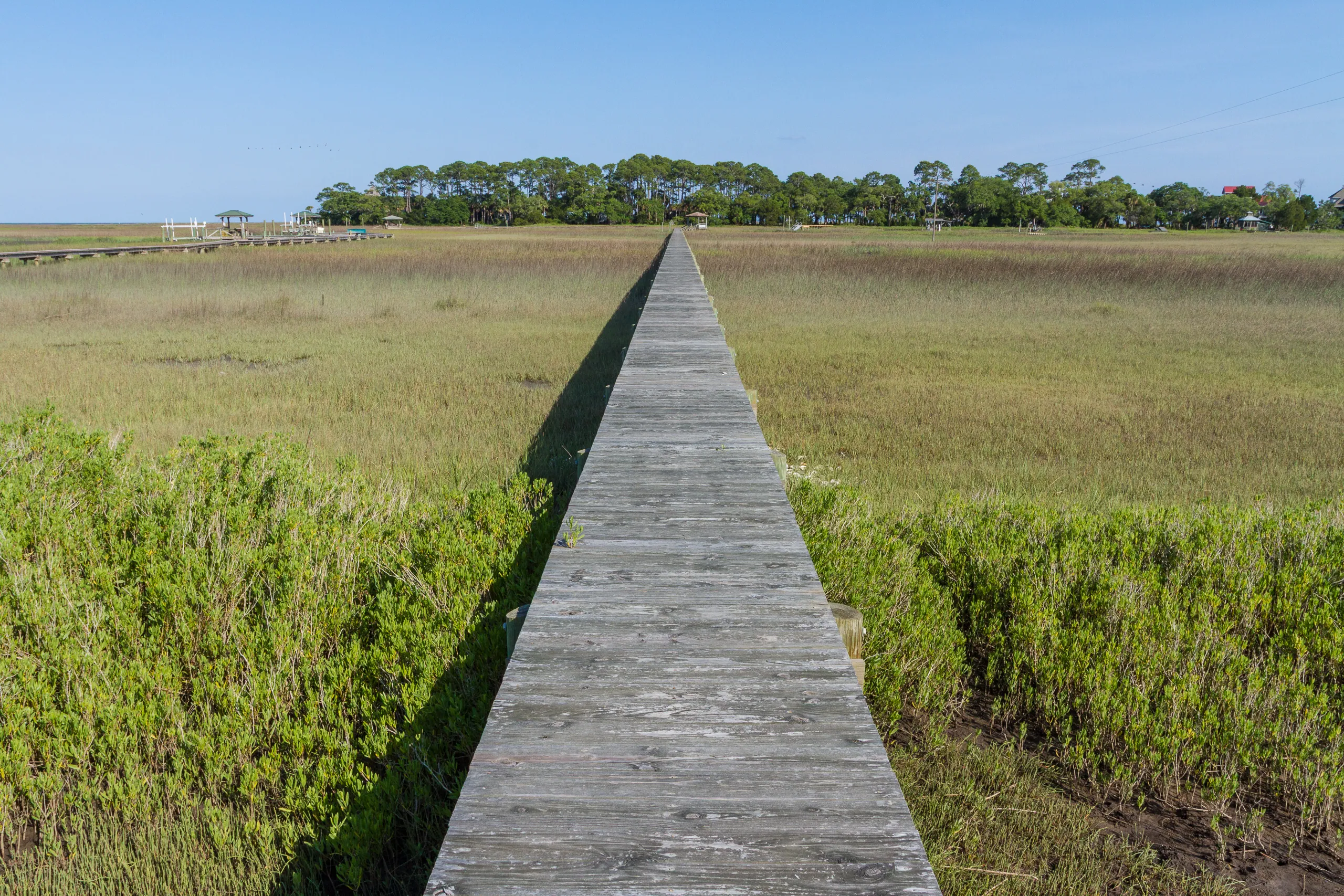 Marsh Dock, Edisto Island
