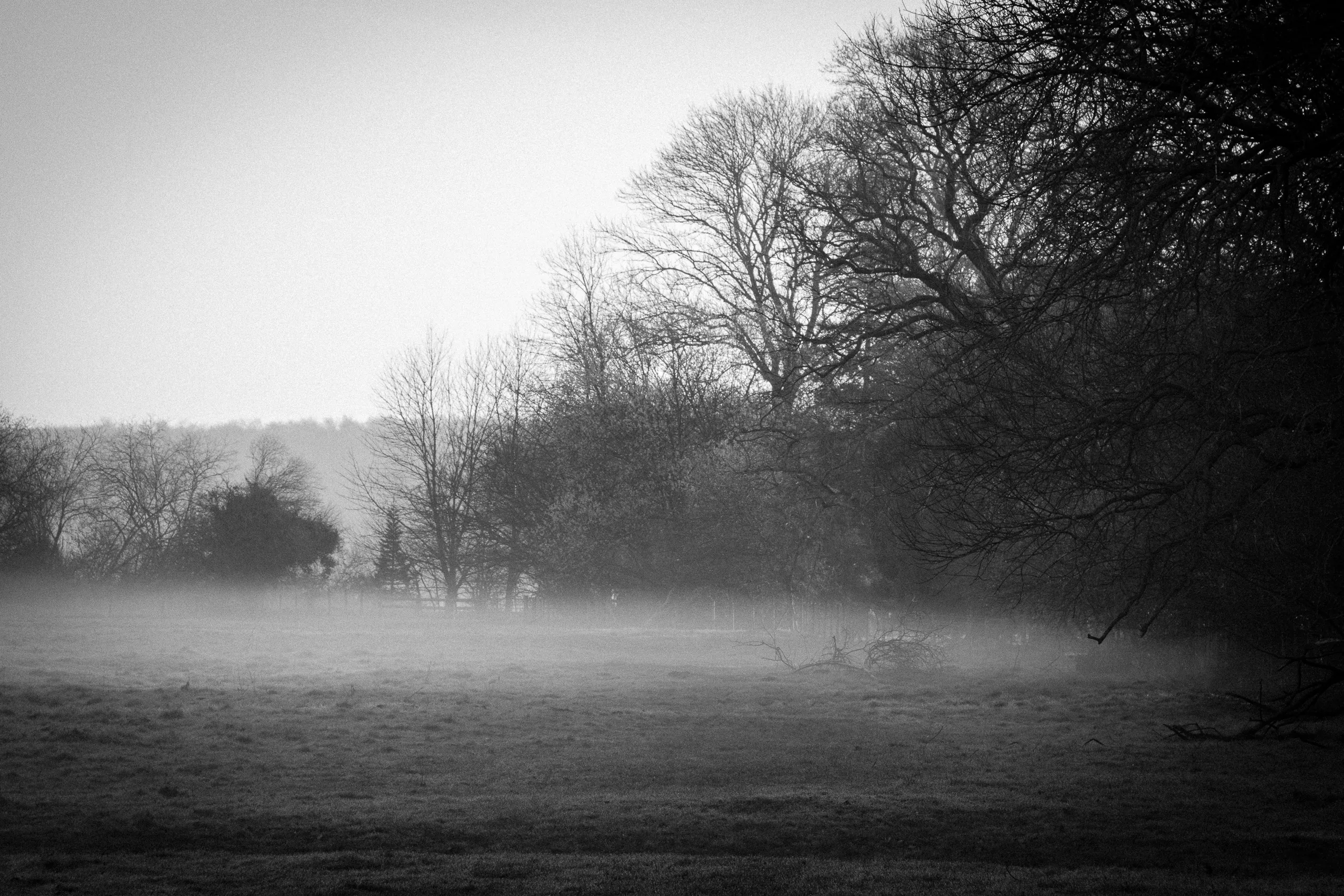 Dawn Mist, Seaton, Wickhambreaux, Kent