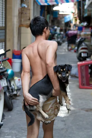 A boy and his dog, near Ben Thanh market