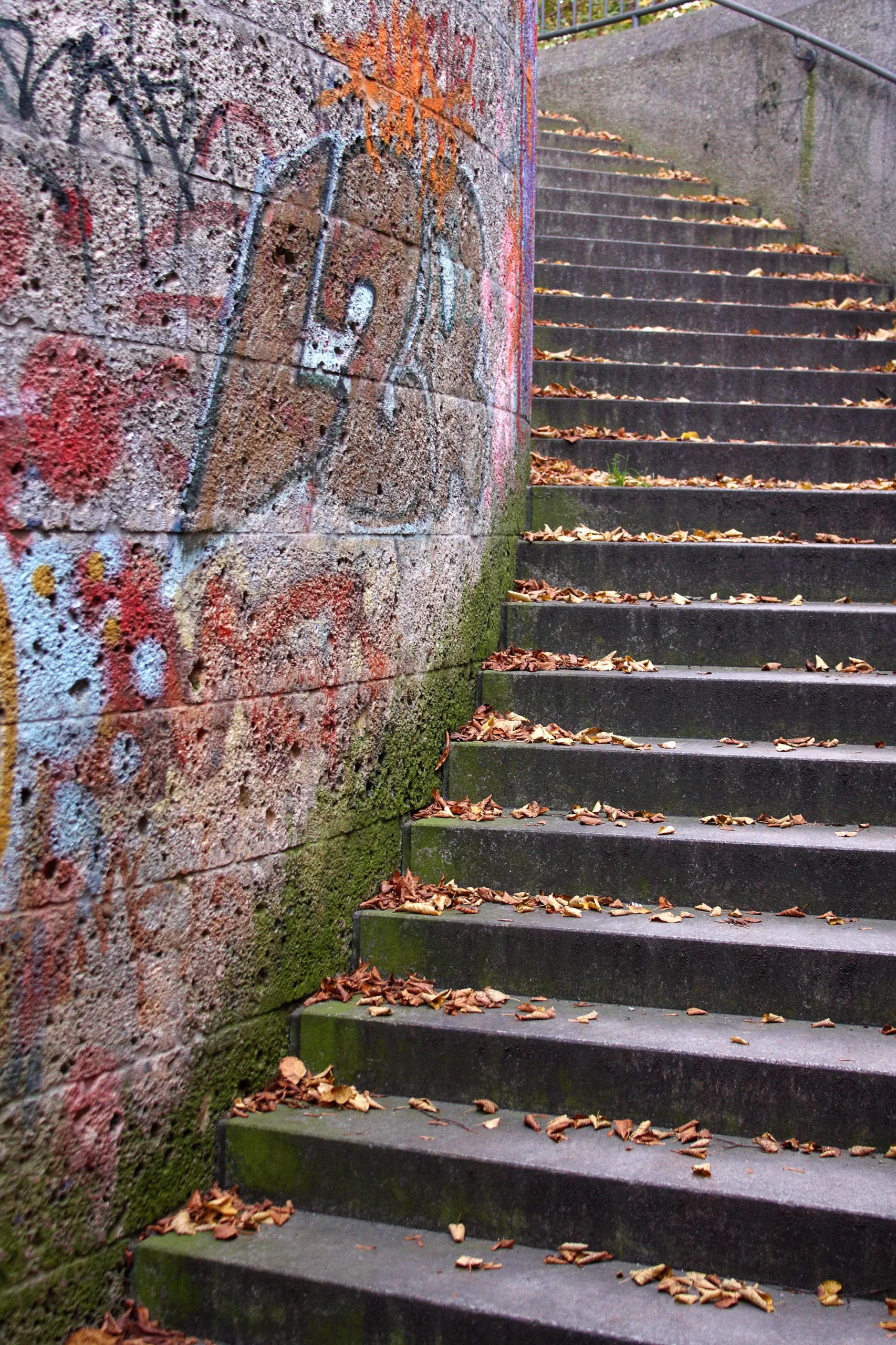 Graffiti in the Englischer Garten