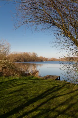 Pond, Seaton, Wickhambreaux, Kent