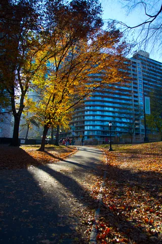 Central Park South - Autumn Colors