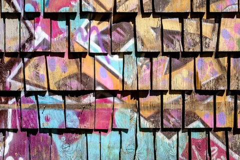 Clarion Alley Murals, the Mission District