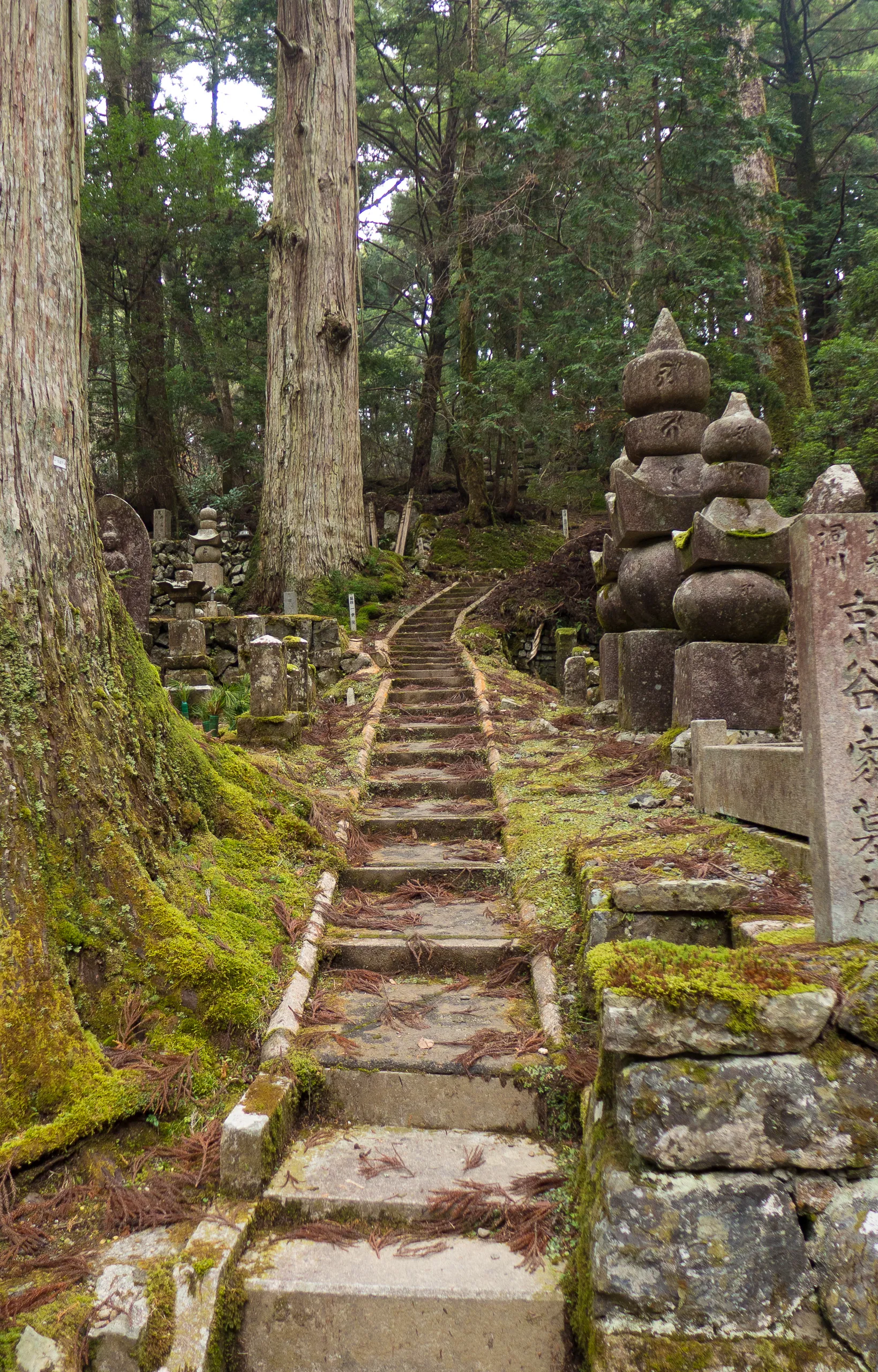 Graveyard steps, Oku-no-in Cemetery, Koya-san