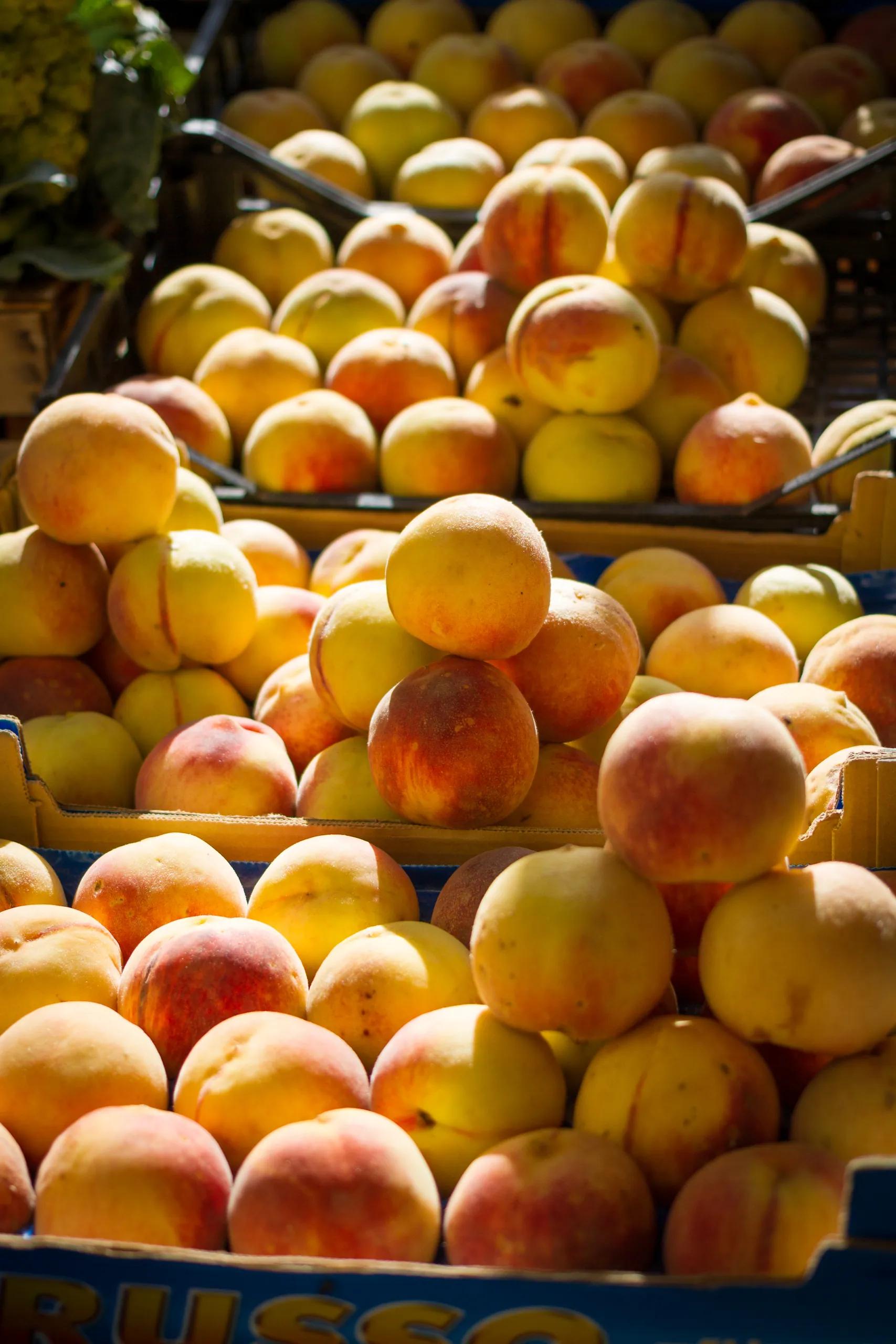 Peaches, Capo Market, Palermo