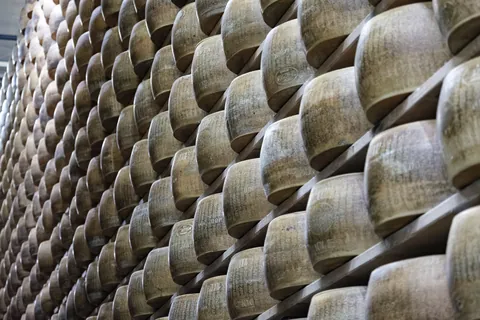 Wheels of Parmaggiano Reggiano ageing