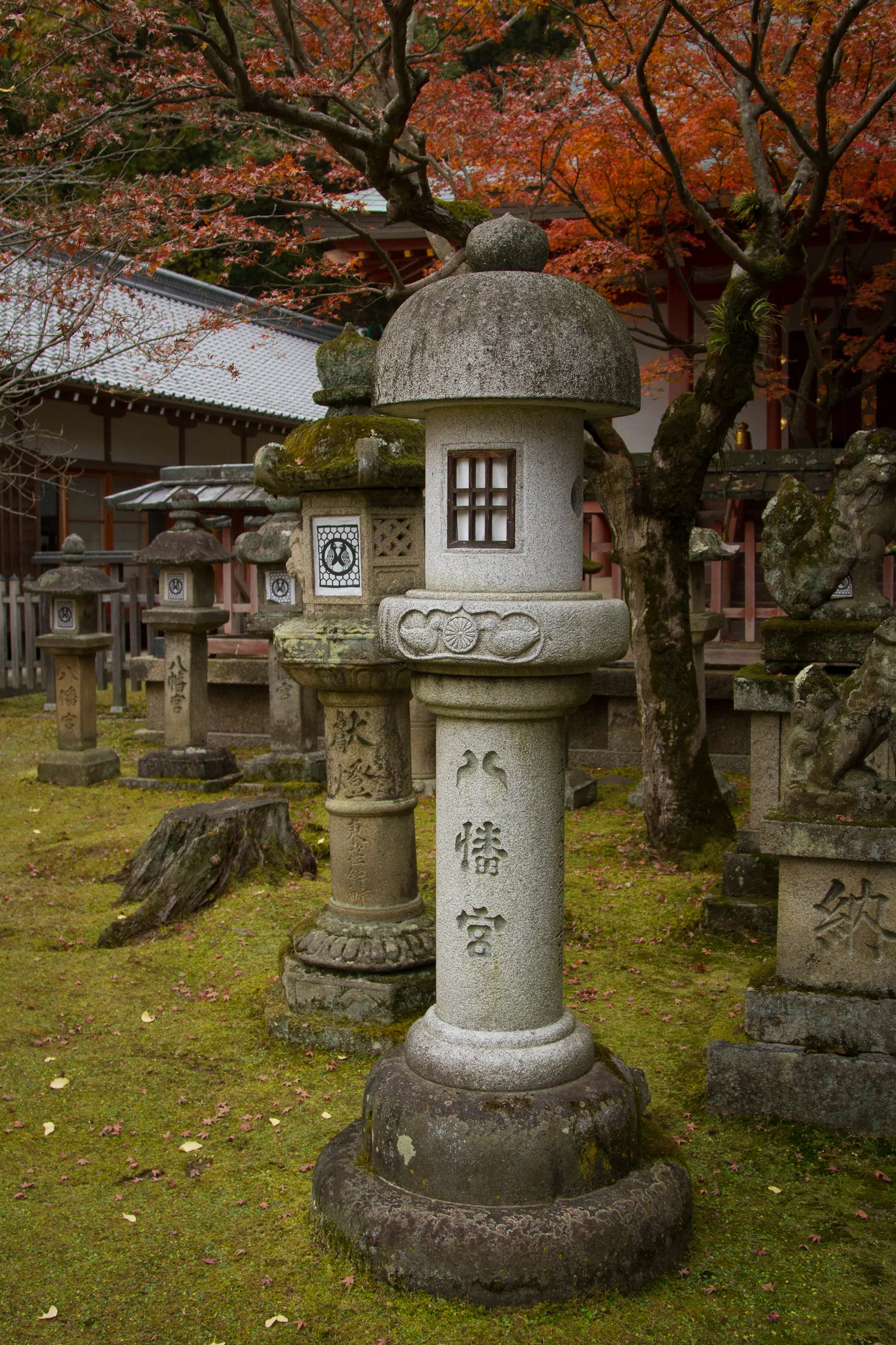 Stone Lantern , Sangatsudo Hall, Nara Park