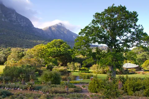 Kirstenbosch Gardens