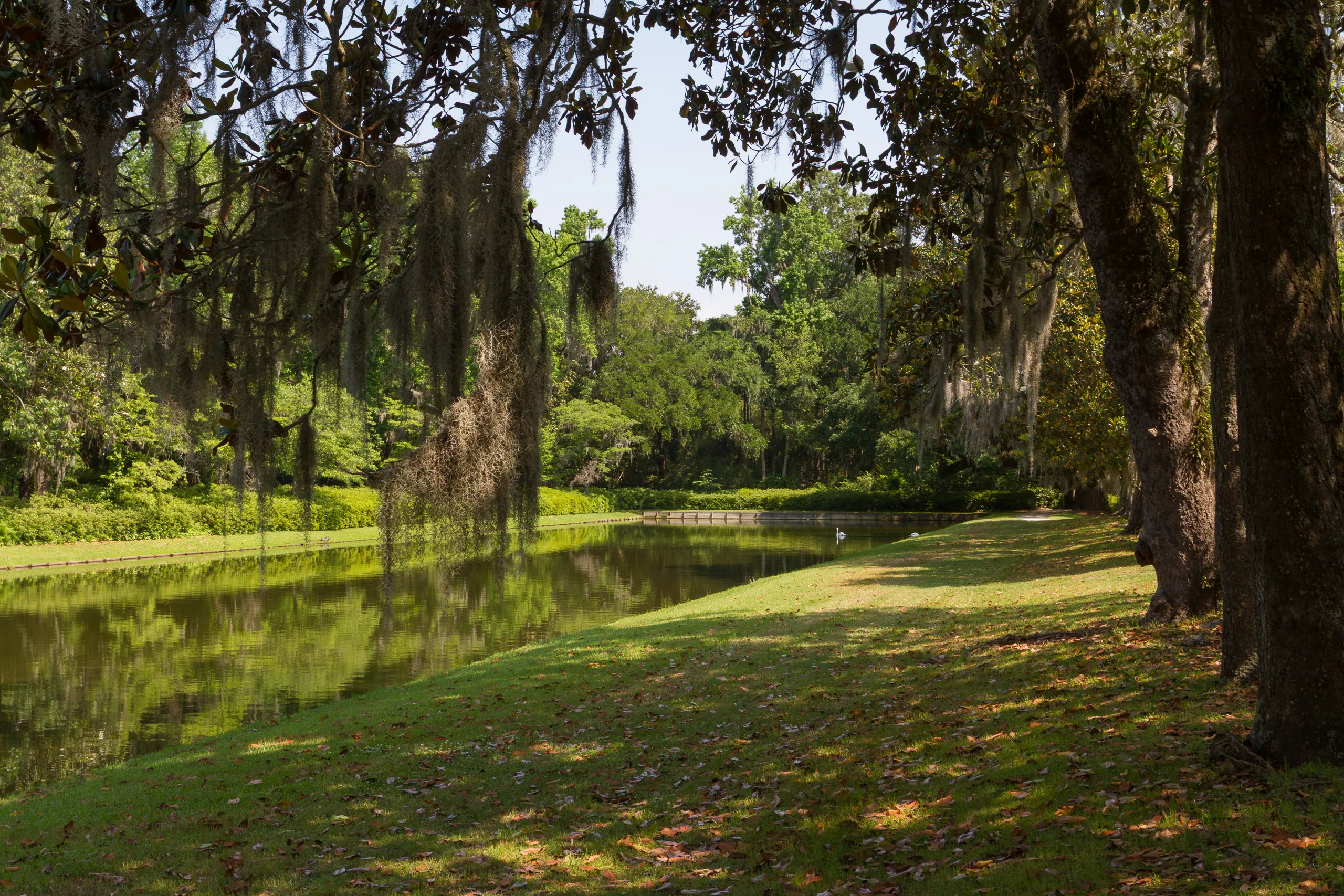Reflecting Pond, Middleton Place