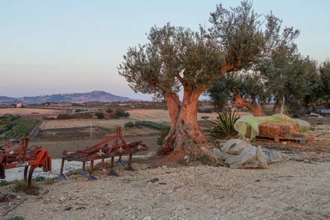 Farm Sunrise, Baglio San Nicola