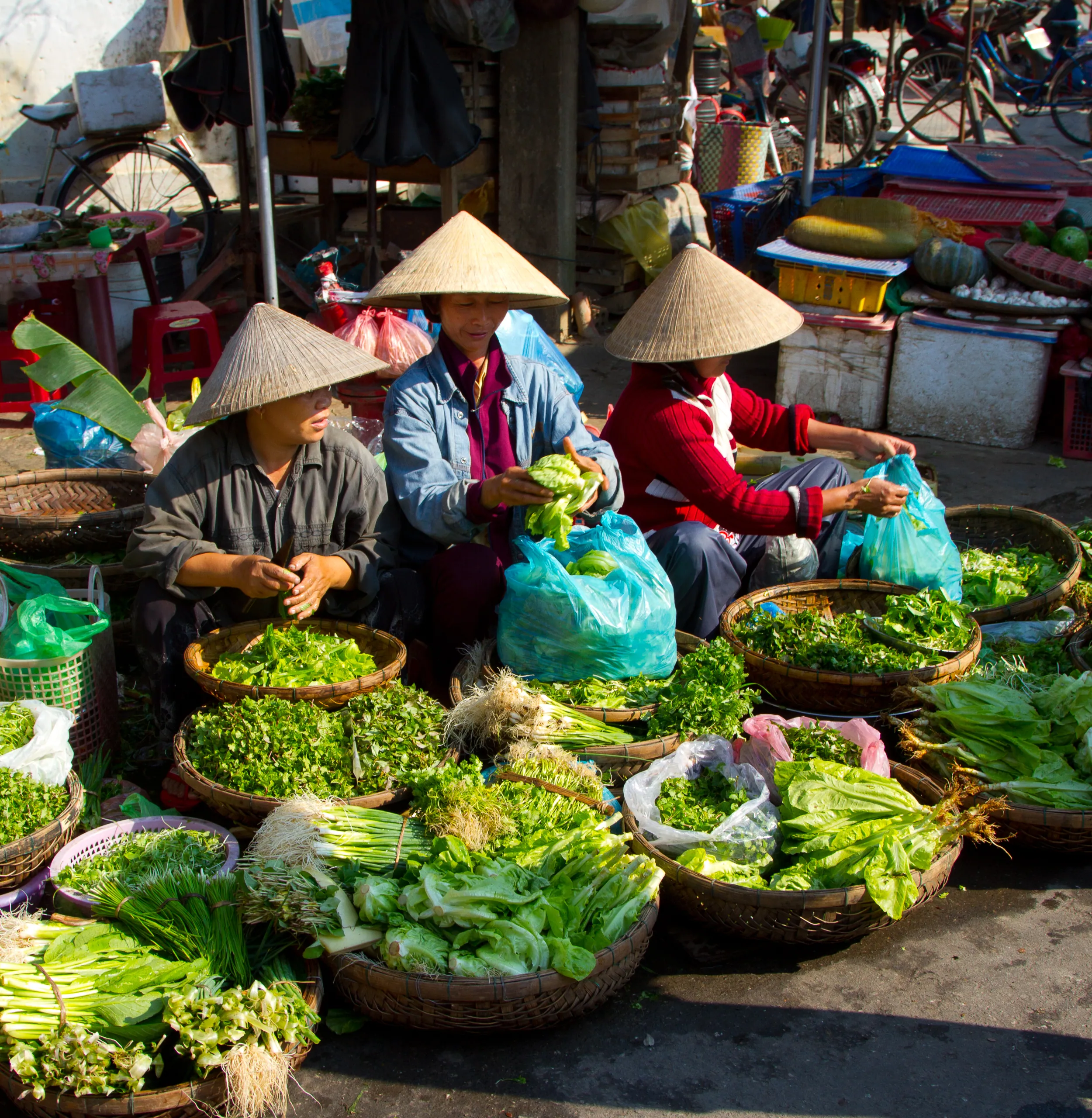 Herb Alley, Hoi An Central Market