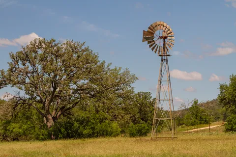 Windmill and oak tree, Canyon Wren Ranch