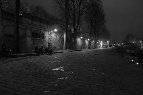 Quayside, the Seine