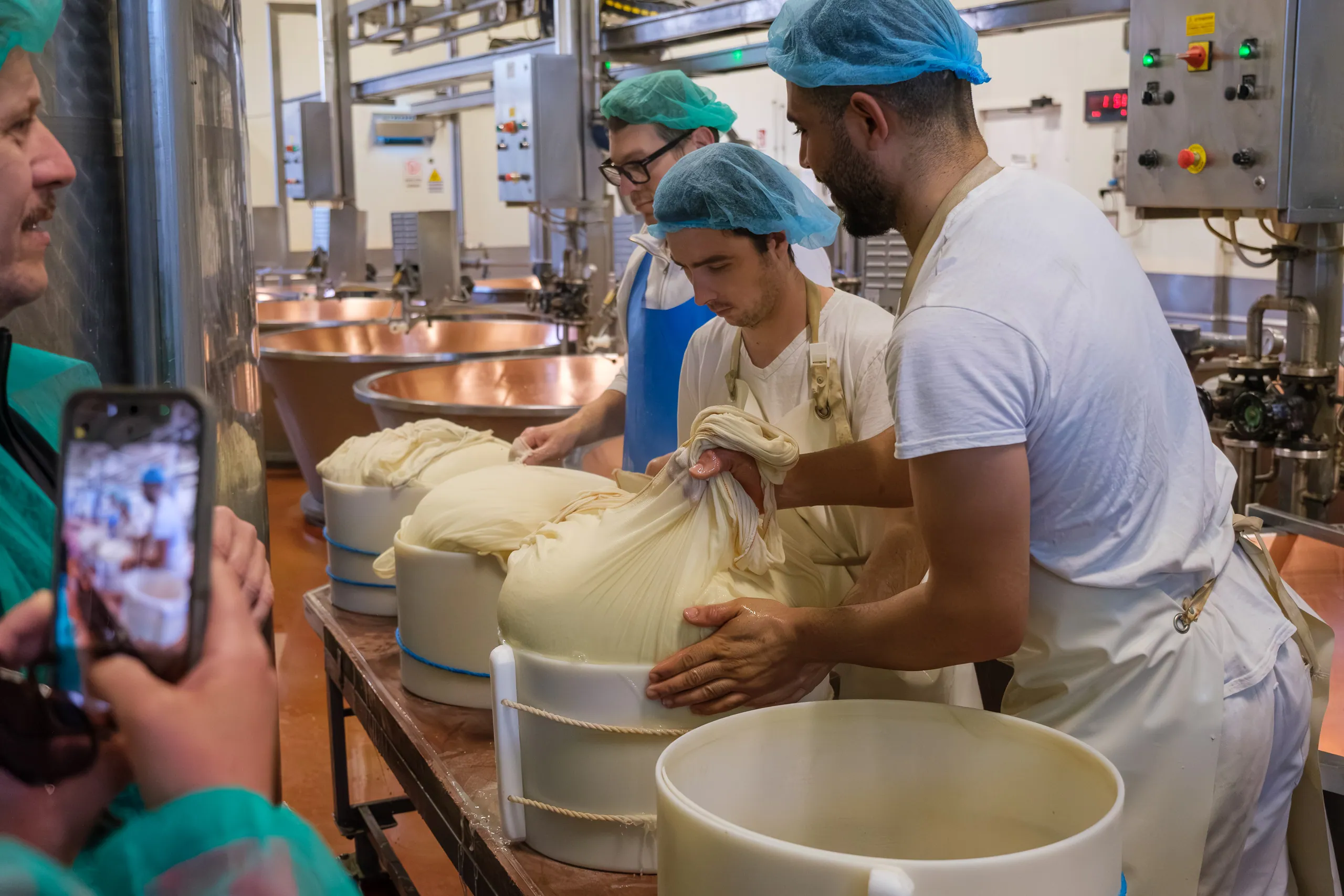 The "birth" of new wheels of Parmaggiano Reggiano, Caseifecio Bio Reggiano, Modena