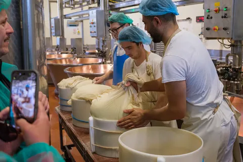 The "birth" of new wheels of Parmaggiano Reggiano, Caseifecio Bio Reggiano, Modena