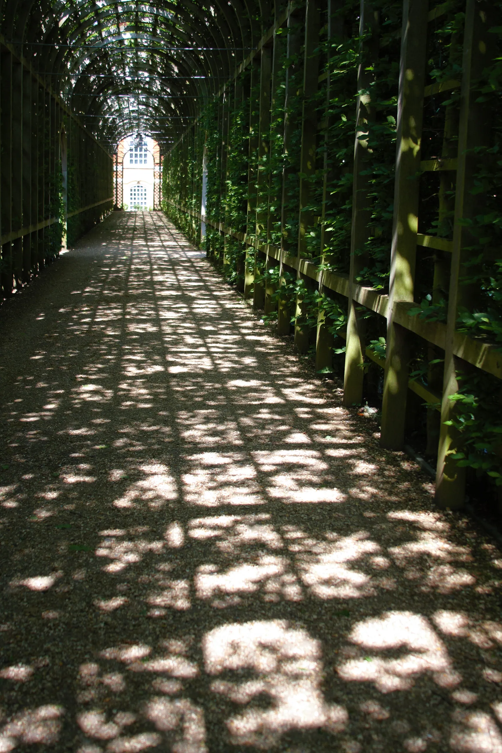 Vine Tunnel, Privy Gardens